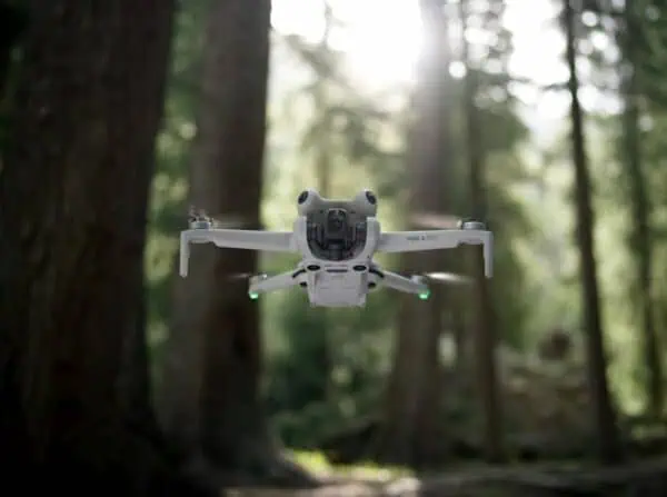 DJI Mini 4 Pro im Wald